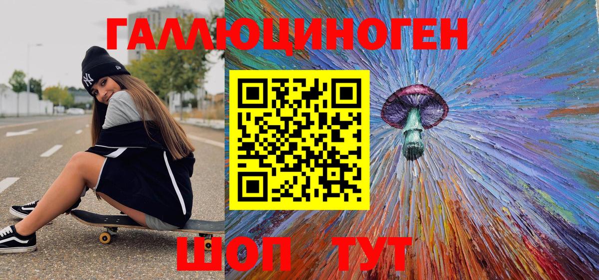 Королёв  Псилоцибиновые грибы Psilocybe  Вход с VPN  Псилоцибиновые грибы прущие грибы 